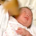 赤ちゃんが、生まれ…