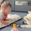 赤ちゃんが『大好き…