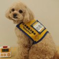 聴導犬　音のない世…