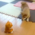 『真似すんな！』犬…