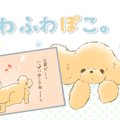 ふわふわぽこ。【第8…