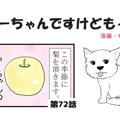 ちーちゃんですけど…