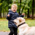 犬が『恐怖心を感じ…
