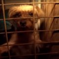 信じがたい凄惨な現…