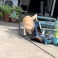 実家に帰省した男性→…