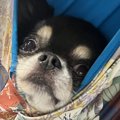 家事をしていたら、…
