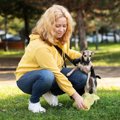 犬が病気かもしれな…