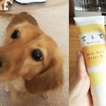 舐めても安全！マッ…