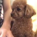 上手にできたかな？…