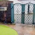 大雨の日『大型犬が…