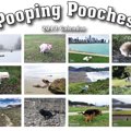 2017年は犬のウンチ…