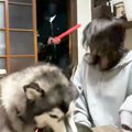『悪者に襲われたら…