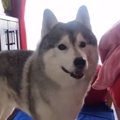 「あ、あそこに…！」…