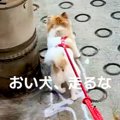 赤ちゃんを抱っこし…