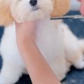 生後4ヶ月の赤ちゃん…