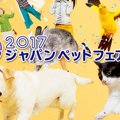 Let's Go！ジャ…