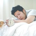 犬が『朝早く起きる…
