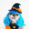 ヘアスタイルがおし…