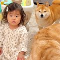 1歳の女の子が悪いこ…
