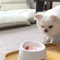 誕生日ケーキを食べ…