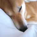 日常に潜む危険「ダ…