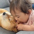 赤ちゃんに顔を食べ…