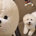 わんちゃんそっくり…