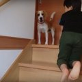 隙あらば登りたい！…