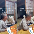 保護犬『じいちゃん…