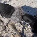 鎖から解き放て！人…