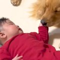 生まれた時から大型…