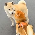 朝、『おともだちワ…