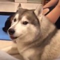 運動をしているママ…