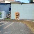 「全然動いてないｗ…