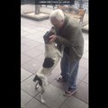 3年さがし続けた犬が…
