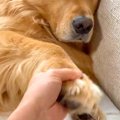お母さんには適当な…