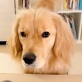 『一緒に寝たいなぁ…