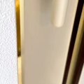 大型犬が亡くなる前…