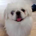 『目が飛び出ている…