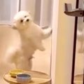 イタズラの犯行現場…