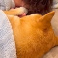『9年間、犬と一緒に…