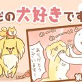 ただの犬好きです。…