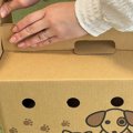 赤ちゃん犬を飼った…