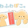 ふわふわぽこ。【第6…