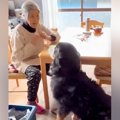 おばあちゃんの家に…