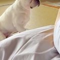 布団でスマホをいじ…