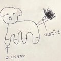 犬のトリミングで『…
