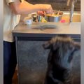 食事に興味がない大…