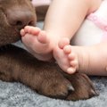 赤ちゃんが触れ合っ…