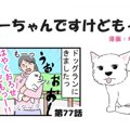 ちーちゃんですけど…